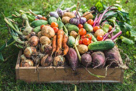 foire aux plants