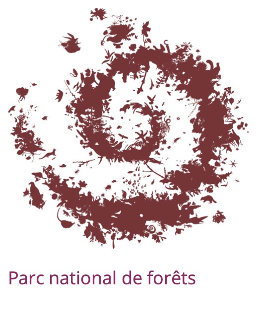 les ailes de la nuit